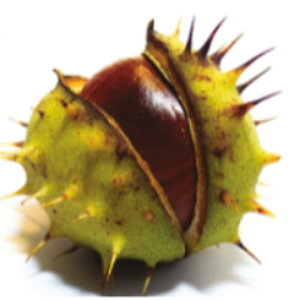 Conker Communications logo