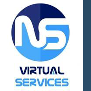 NS Virtual Services logo