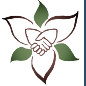 Medical Billing Services Inc. logo