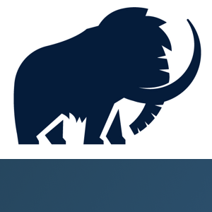 Wooly Mammoth Design logo