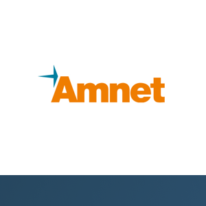 Amnet Systems Private Limited Logo