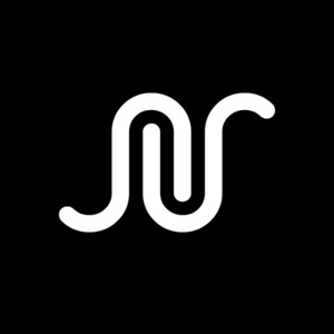 Social Network Solutions logo