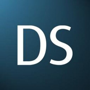 Dulay Seymour logo