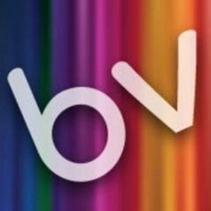 bandv logo