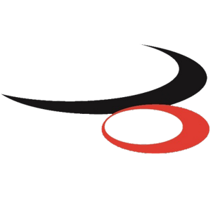 Boyns Information Systems Ltd. logo