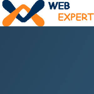 indorewebexpert logo