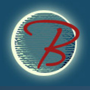 Brian's Web Design logo