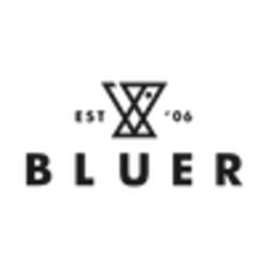 BLUER STUDIO logo