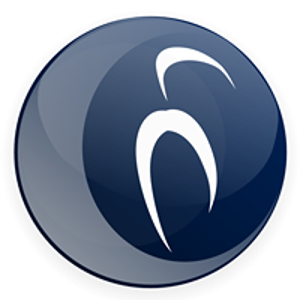 I.B.I.S. logo