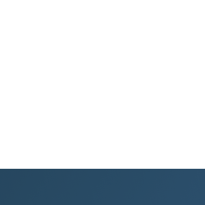 New Logic logo