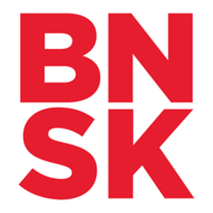 Brainshark logo