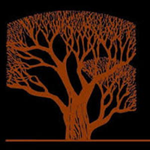 Northern Staffing Services logo