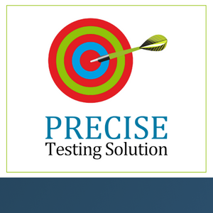 Precise Testing Solution Private Limited logo