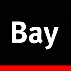 Bayinteractive, Inc. logo