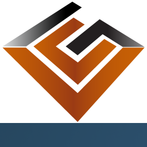 Venice Consulting Group logo