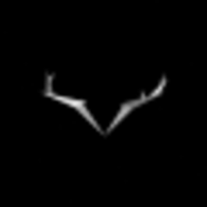 Digital Cover logo