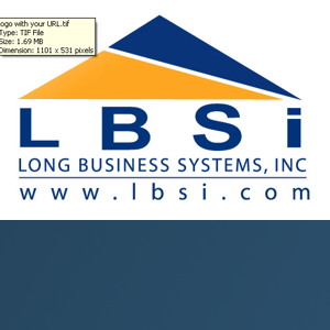 Long Business Systems, Inc. logo