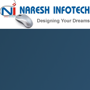 Naresh Infotech logo