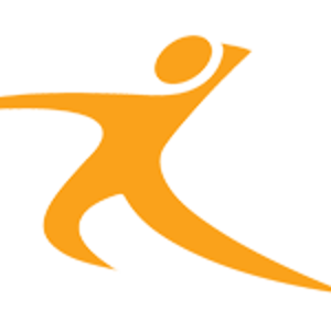Wireframe Solutions logo