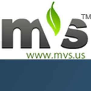 MVS Consulting Inc logo