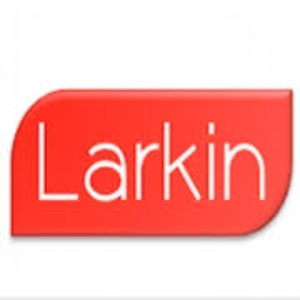 Larkin Agency logo