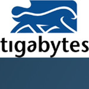 Tigabytes Latam logo
