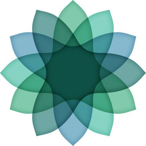 Anahata Technologies logo