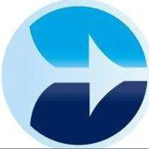 Bi101 Consultants logo