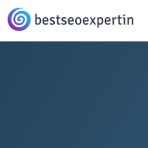 Best SEO Expert In USA logo