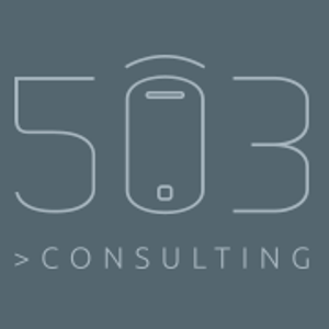 503 Consulting logo