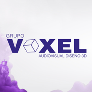 VOXEL Group logo