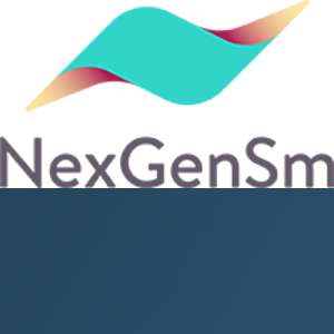 NexGen Systems Inc logo