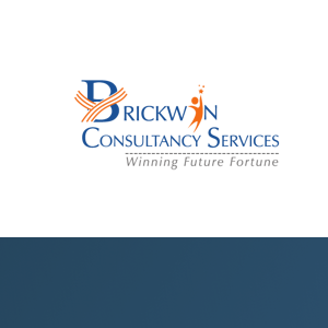 BrickWin Consultancy Services Private Limited logo