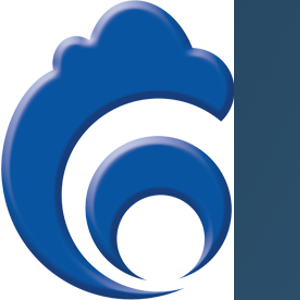 Cloud Success logo