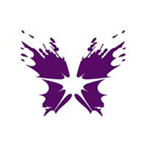 Brandimage logo