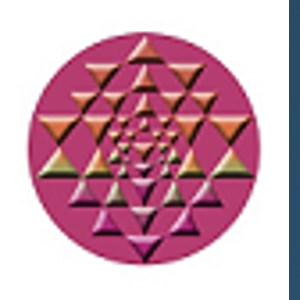 NthDimenzion Solutions logo