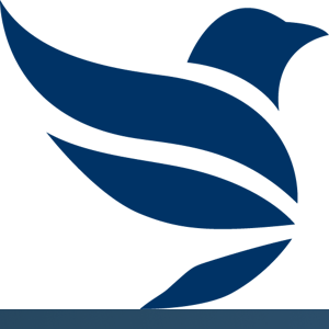 Tracer Digital logo