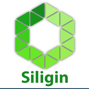 Siligin Software logo
