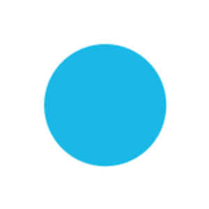 Blu Flamingo Digital Africa logo
