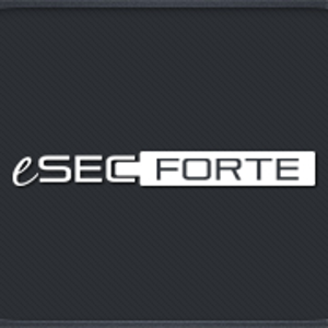 eSecForte Technologies logo