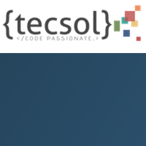TECSOL Software logo