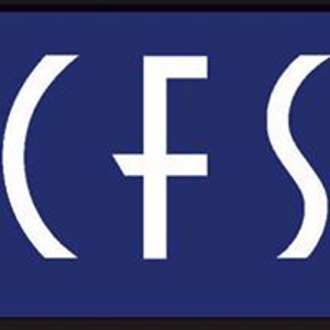 Creative Financial Staffing Logo