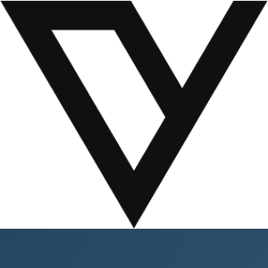 VILI &amp; VE logo