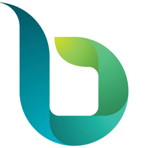 Brimit logo