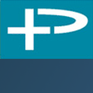 Partners Plus IT Support logo