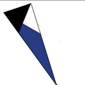 Talis Group logo