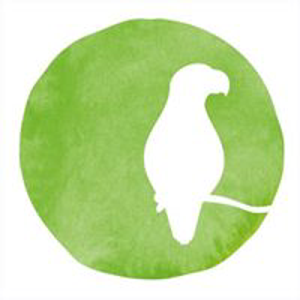 Franchi Design Studio logo