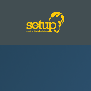 SETUP LIMITED logo