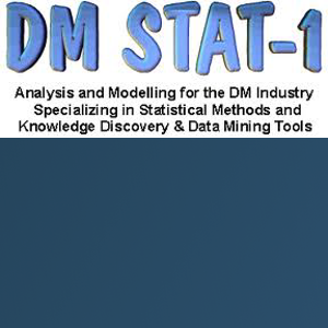 DM STAT-1 Consulting logo
