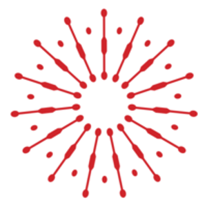 Redkiwi logo